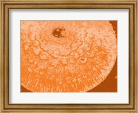 Framed Orange Abstract