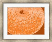 Framed Orange Abstract