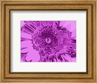 Framed Pink Abstract Flower
