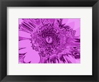 Framed Pink Abstract Flower