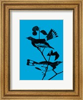 Framed Starlings