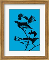 Framed Starlings