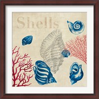 Framed Shell Study