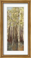 Framed Forest Whisper II