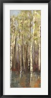 Framed Forest Whisper II