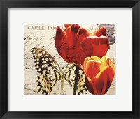 Framed Carte Postale Tulip II