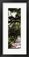 Framed Savannah Sidewalk Panel II - mini
