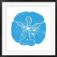 Framed Blue Sand Dollar