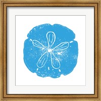 Framed Blue Sand Dollar