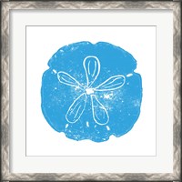 Framed Blue Sand Dollar