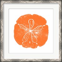 Framed Orange Sand Dollar