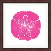 Framed Pink Sand Dollar