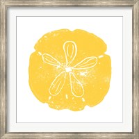 Framed Yellow Sand Dollar