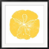 Framed Yellow Sand Dollar