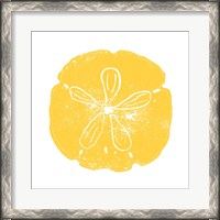 Framed Yellow Sand Dollar