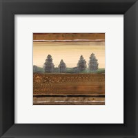 Framed Treescape I