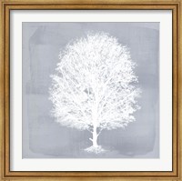 Framed Dream Tree II