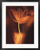 Framed Bronze Tulip I