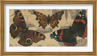 Framed Bold Butterfly Panel I