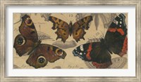 Framed Bold Butterfly Panel I