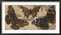 Framed Bold Butterfly Panel I