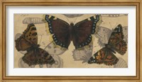 Framed Bold Butterfly Panel III