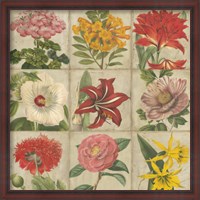 Framed Vintage Flower Grid
