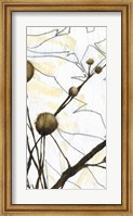 Framed Willow Blooms I