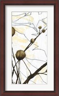 Framed Willow Blooms I