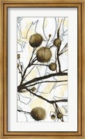 Framed Willow Blooms II