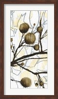 Framed Willow Blooms II