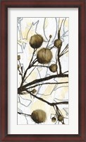Framed Willow Blooms II