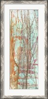 Framed Thicket II