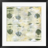 Clover II Framed Print