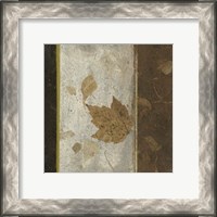 Framed Earthen Textures XVI