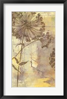 Dandelion Dance I Framed Print