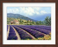 Framed Fields Of Lavender
