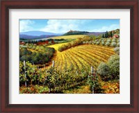 Framed Chianti Vineyards