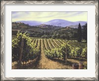 Framed Tuscany Vines