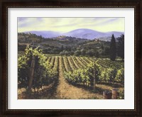 Framed Tuscany Vines