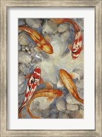 Framed Vibrant Koi I