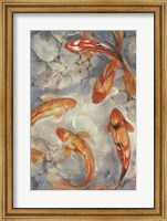 Framed Vibrant Koi II