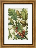 Framed Fruits & Foliage II