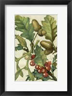 Framed Fruits & Foliage II