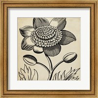 Framed Graphic Floral III