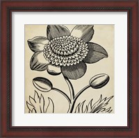 Framed Graphic Floral III