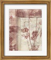 Framed Framed Blossoms I