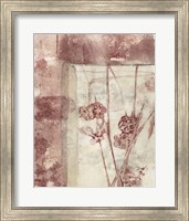 Framed Framed Blossoms I