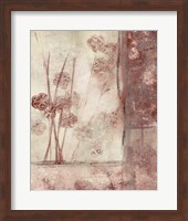 Framed Framed Blossoms II