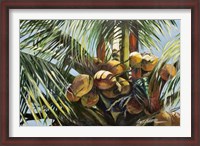 Framed Los Cocos